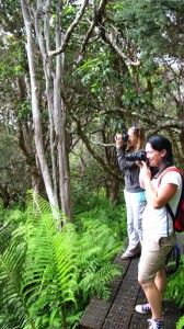 AnnaDavis_EricaDanielleFrnz72 Taking photos in Waikamoi