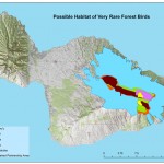 BirdHabitatEastMauiWeb