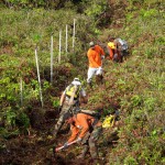 BrushingFenceLine_AMW_Waihoi-(103)