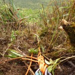 Rapelling2_AMW_Waihoi-(178)