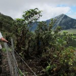 WalkingFenceLine_AMW_Waihoi-(76)