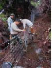 fencebuild_r1_c1