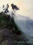 Katharine Ayers