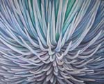Maile Getzen