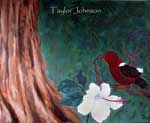 Taylor Johnson