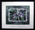 Melanie Thompson