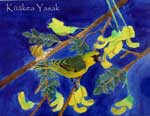 Kuakea Yasak