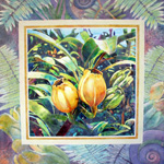 Beth Marcil