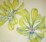 Diane Norman