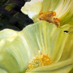 Pam Peterson