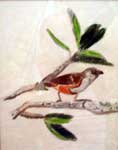 Kaiola Shibly, age 9