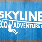 SkylineLogoCC