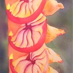 Hāpuʻu by Alexandra Underwood