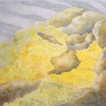 Awakening by Diane Norman