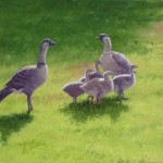 Nēnē Family by George Allan