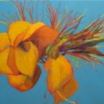 Wiliwili Blossom by Jim Lynch