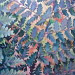 Hoʻiʻo or Pahole Fern by Katharine Ayers