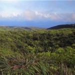 Poʻohuna i ke ao (Godheads Hidden in the Clouds) by Keahi Bustamente