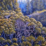 Waikamoi by Ken Kennell