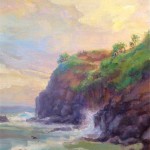 Good Fishing -Black Noddys Hoʻolawa Bay, Maui by Martha Vockrodt