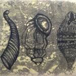 Hawaiian Micro Mollusks by Wendy Romanchak