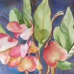 Emergence by Alexandra Underwood