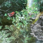 Silent Sanctuary by Bill McLane