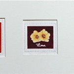 Native Flower Stamp Series by Elizabeth Keller