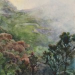 Fog Rolls into the East Maui Watershed by Katharine Ayers