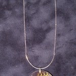 'Alani (aka: Orange Lichen Necklace) by Luana Coonen