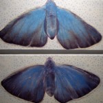 Udara Butterfly by Melissa Chimera