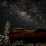 Wow: Conservation at Work by Mike Neal